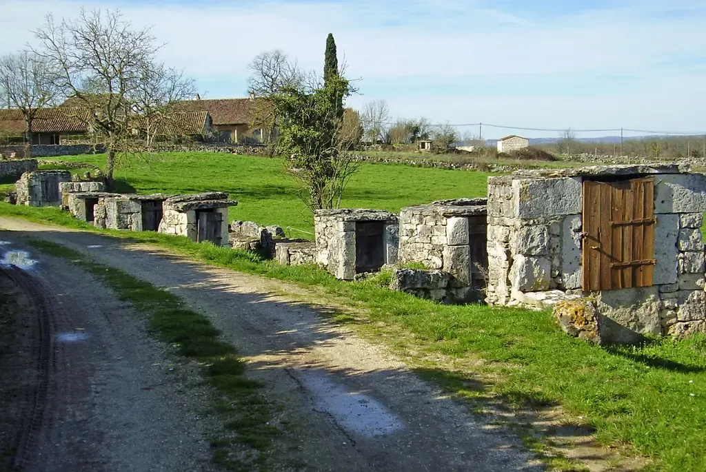 Chemin de terre ombragé, tourne vers la gauche, une dizaine de puis sur la droite.